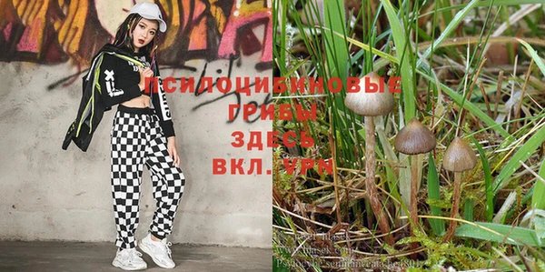 не бодяженный Кодинск