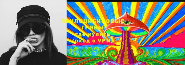 прущие крисы Козловка
